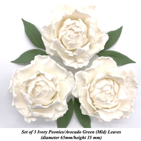 Ivory Peoonies with Green Peony Leaves