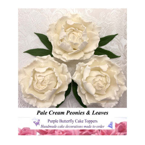 Pale Cream Peonies