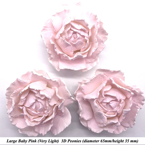 Pale Pink Peony