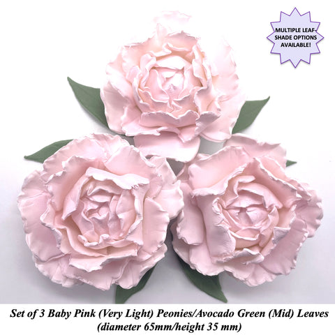 Pale Pink Peony with Green Leaves