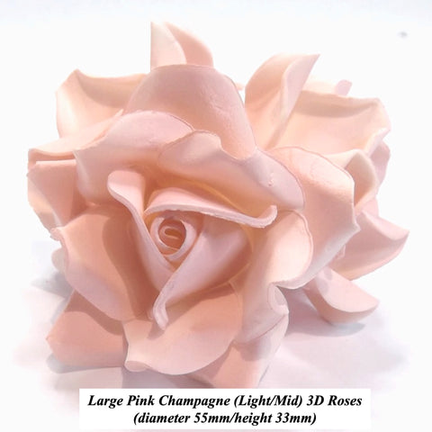 Pink Champagne Roses