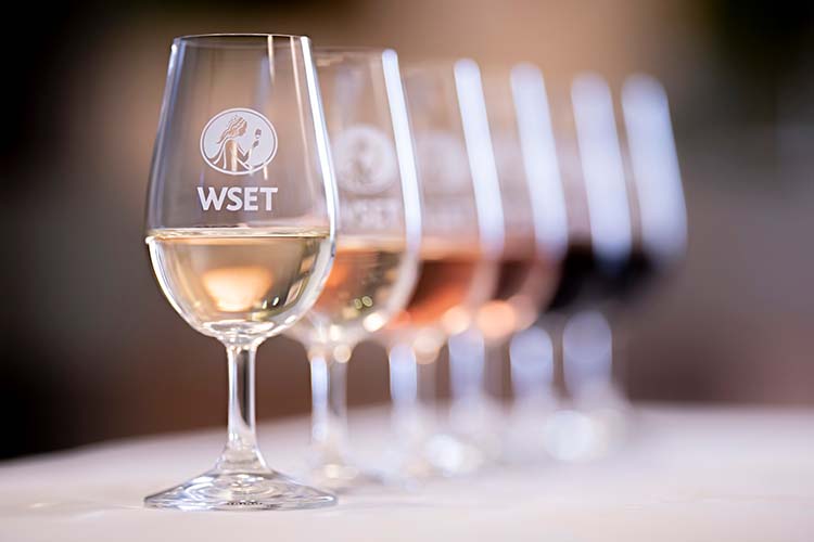 WSET Level 2: My journey in wine studies - Cape of Good Wine
