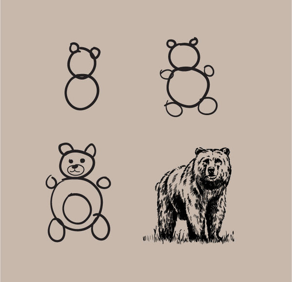 How to draw a bear - Ecart