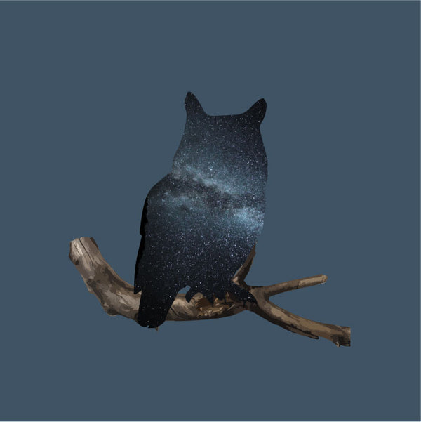 Night Owl - Ecart