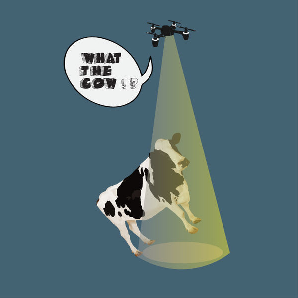 What The Cow! - Ecart