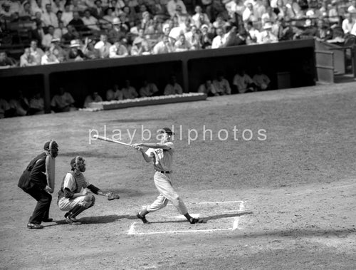 Ted Williams 8x10 Print