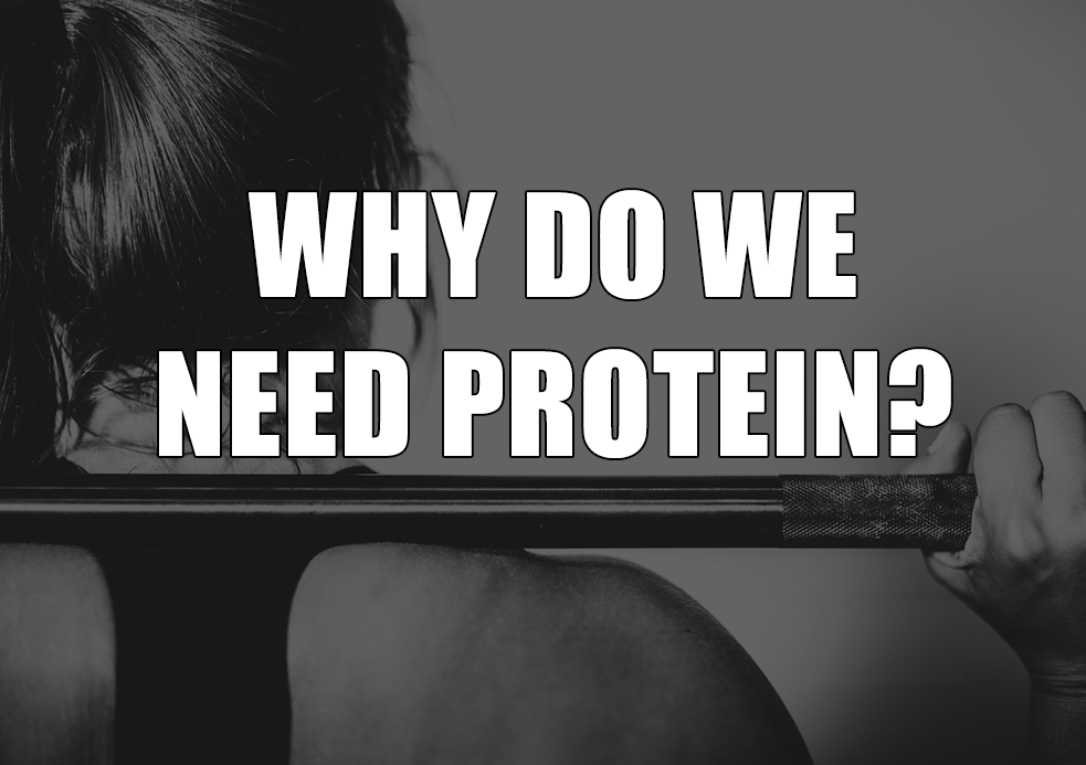 Why Dietary Protein Is Important For Womens Body Health 6073