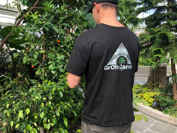 GrOh Canada Team member working in greenhouse