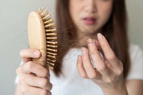 Seasonal Hair Shedding Explained Blog Image