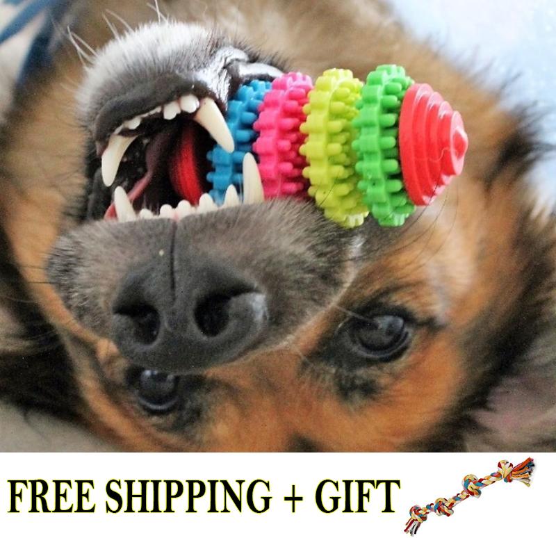 dog dental toy