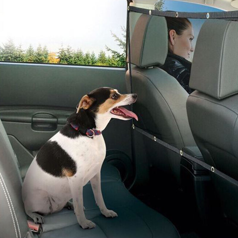 Front Seat Dog Barrier Keeps Your Pooch 