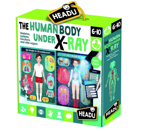The Human Body Under X-Ray Game from Headu