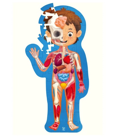 Human Body Puzzle of a Little Boy Waving with visible bones and internal organs