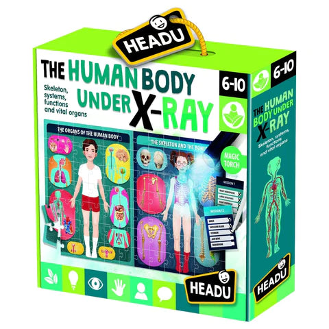 X Ray of the Human Body Game