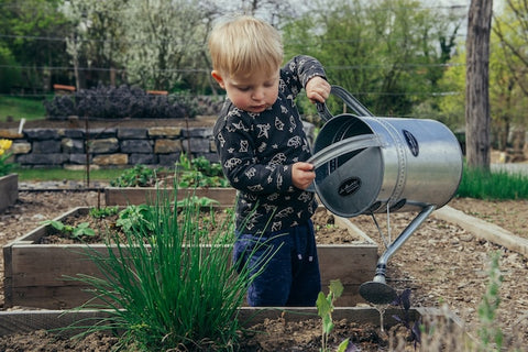 Young boy watering his vegetable boxes in the garden