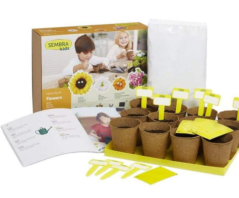 Grow Your Own Summer Flowers Kit