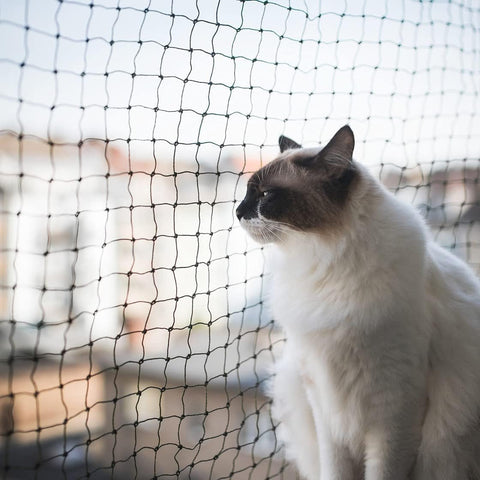 Window Netting For Cats