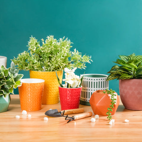 Colourful ceramic planters for house plants