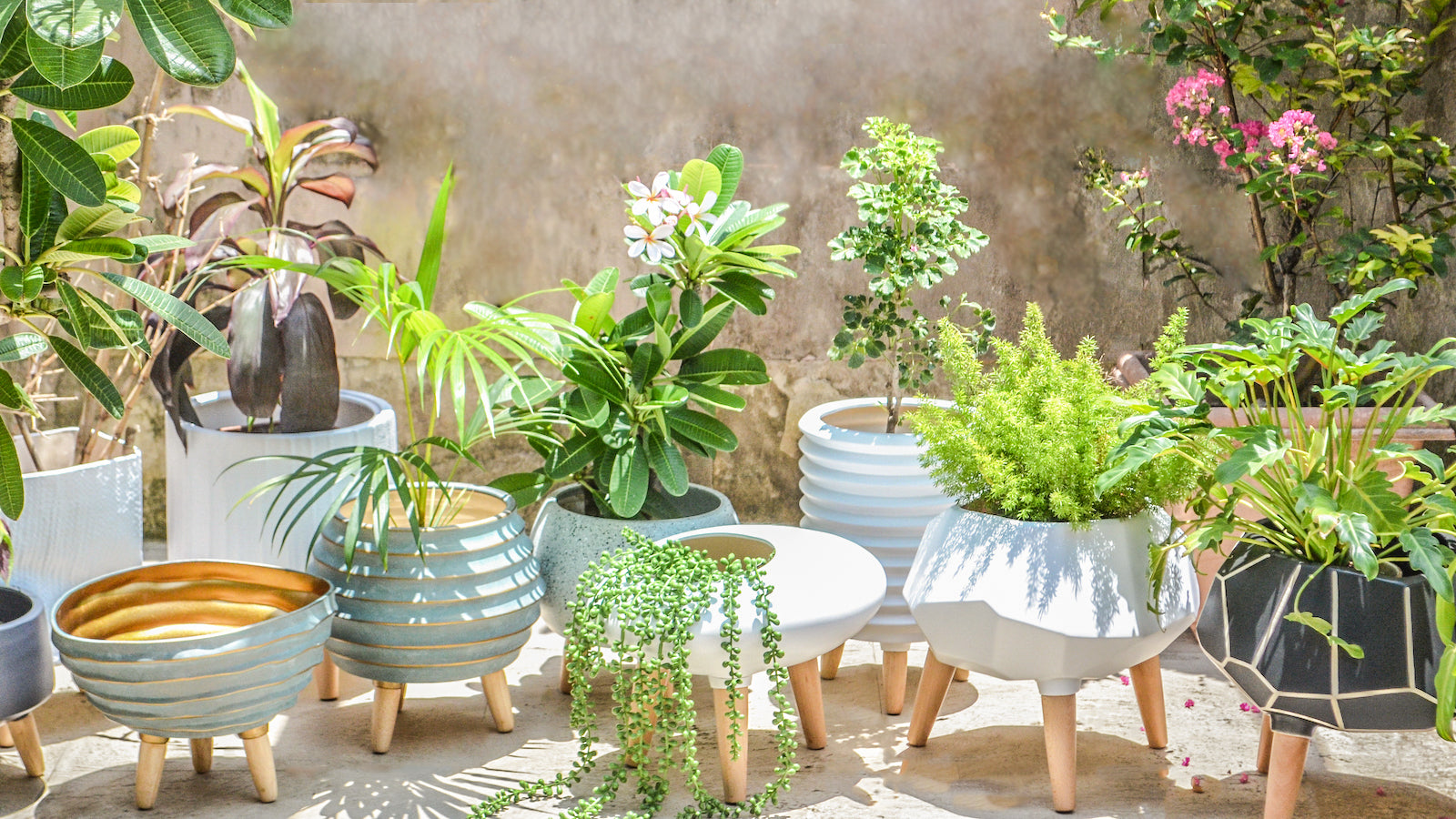 10 Indoor Plants & Planters