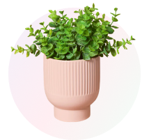 vase + planter
