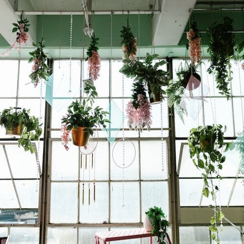 Planters suspended from a rod