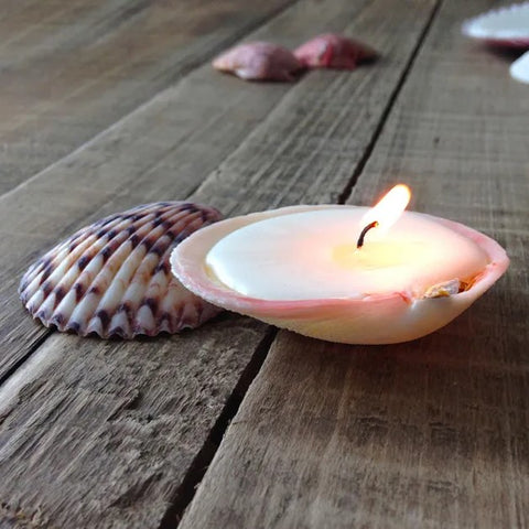 DIY shell candle