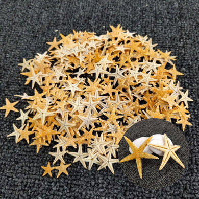 Starfish Natural Nail Art