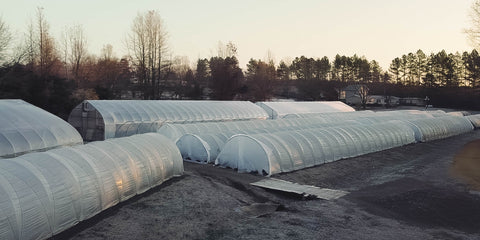 Farm in the Early Morning Frost