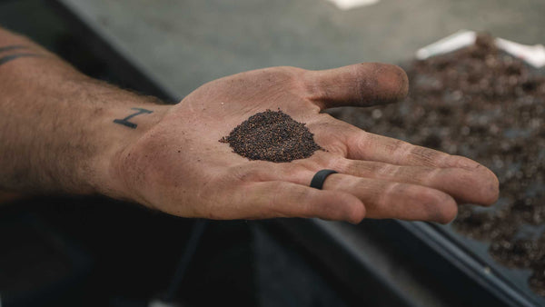 Farm Hand with seeds