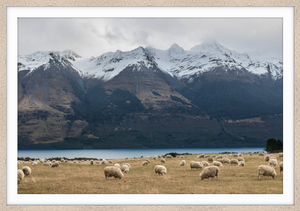 Glenorchy - Jessica Lee Photography