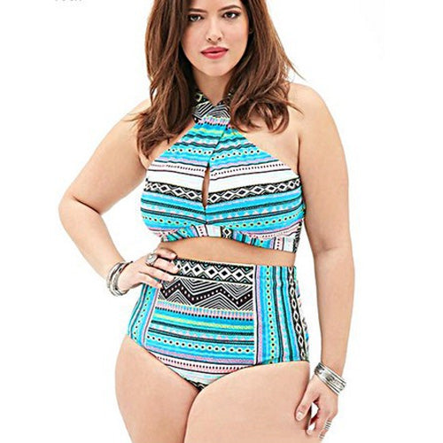 halter neck plus size swimsuit