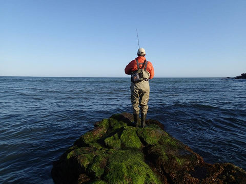 Surf: Crushing Barbs - Not Just For Schoolies - The Fisherman