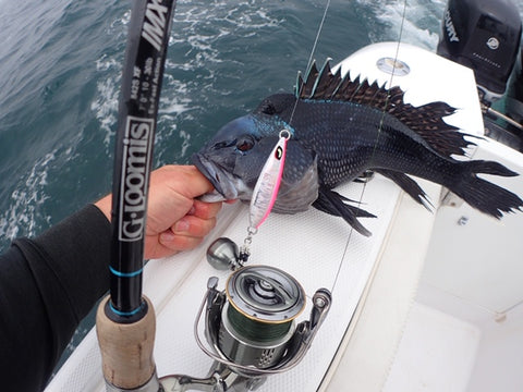 Tackle and Tactics: Black Sea Bass - The Saltwater Edge
