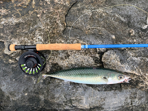 WORMS, EGGS & JUNK FLIES - The Fly Fishing Outpost