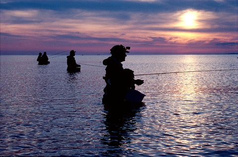 Saltwater fly fishing