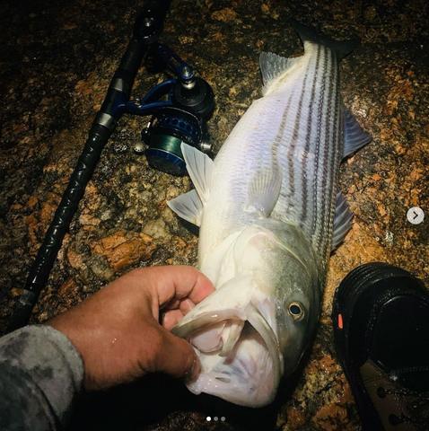 Pronóstico de pesca: período de luna llena de julio de 2021 - The Saltwater  Edge