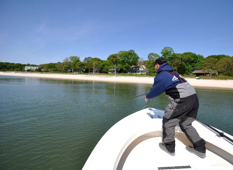 sight fishing striped bass