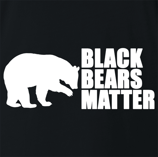 Black-Bears-Matter-Black_ed004a62-5622-4779-a3c7-38c199a21a6b_530x.png