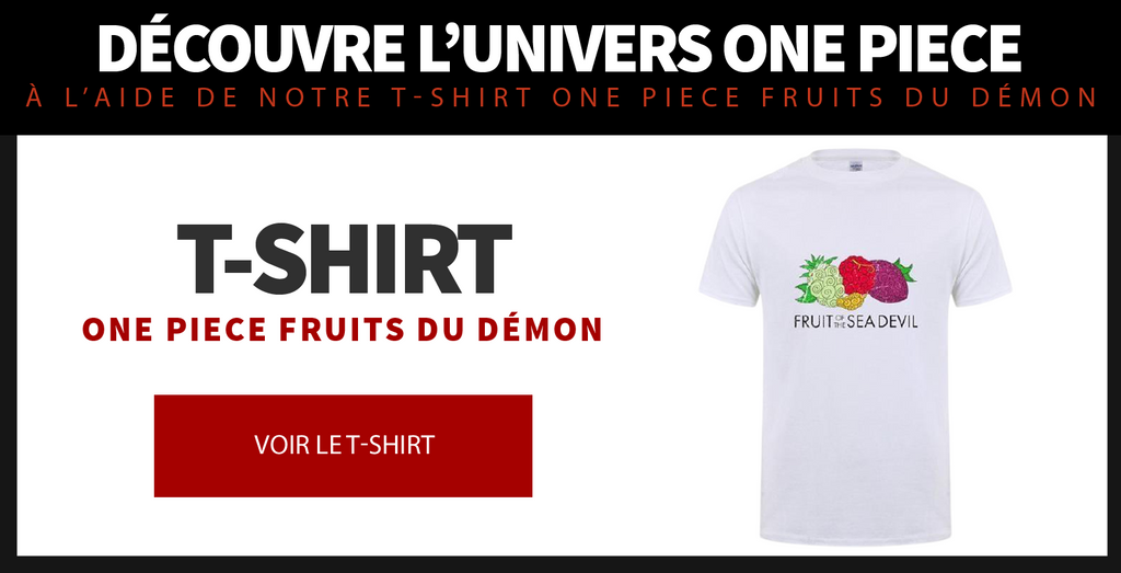 T-Shirt One Piece Fruits du Démon