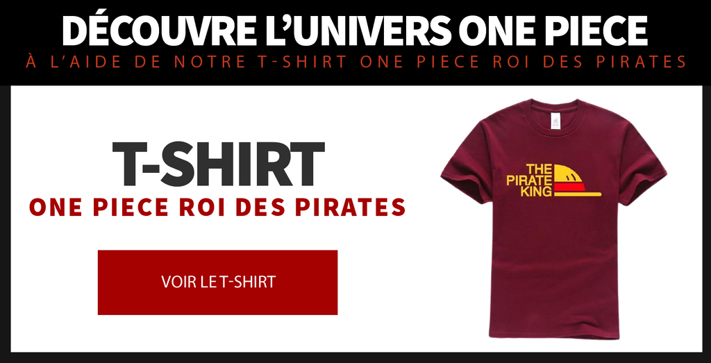 T-Shirt One Piece Roi des Pirates