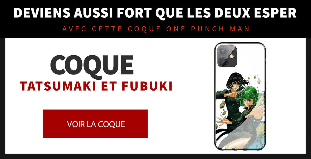 Fubuki case