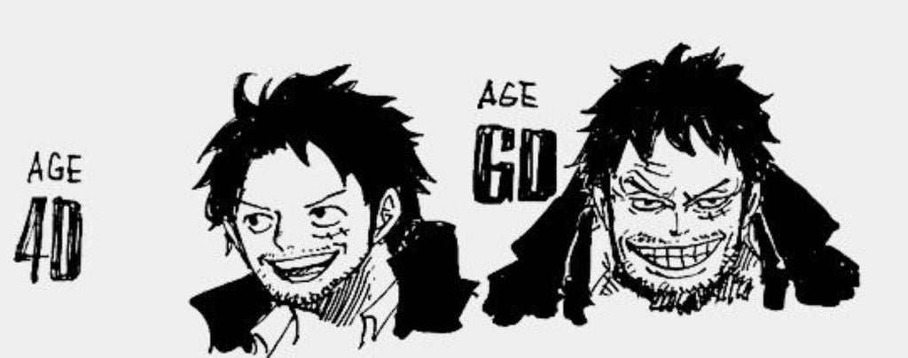 Luffy 40 years old