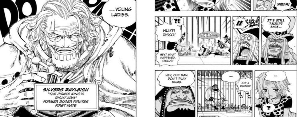 Rayleigh's first appearance