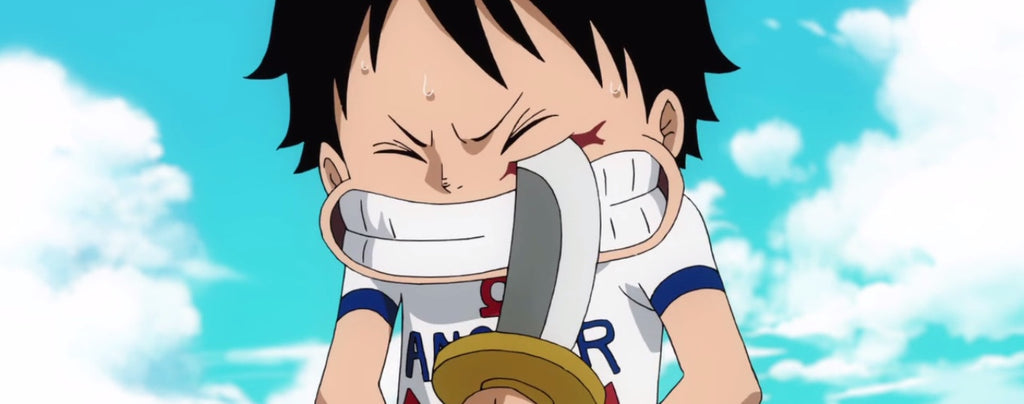 scar made by luffy as a child