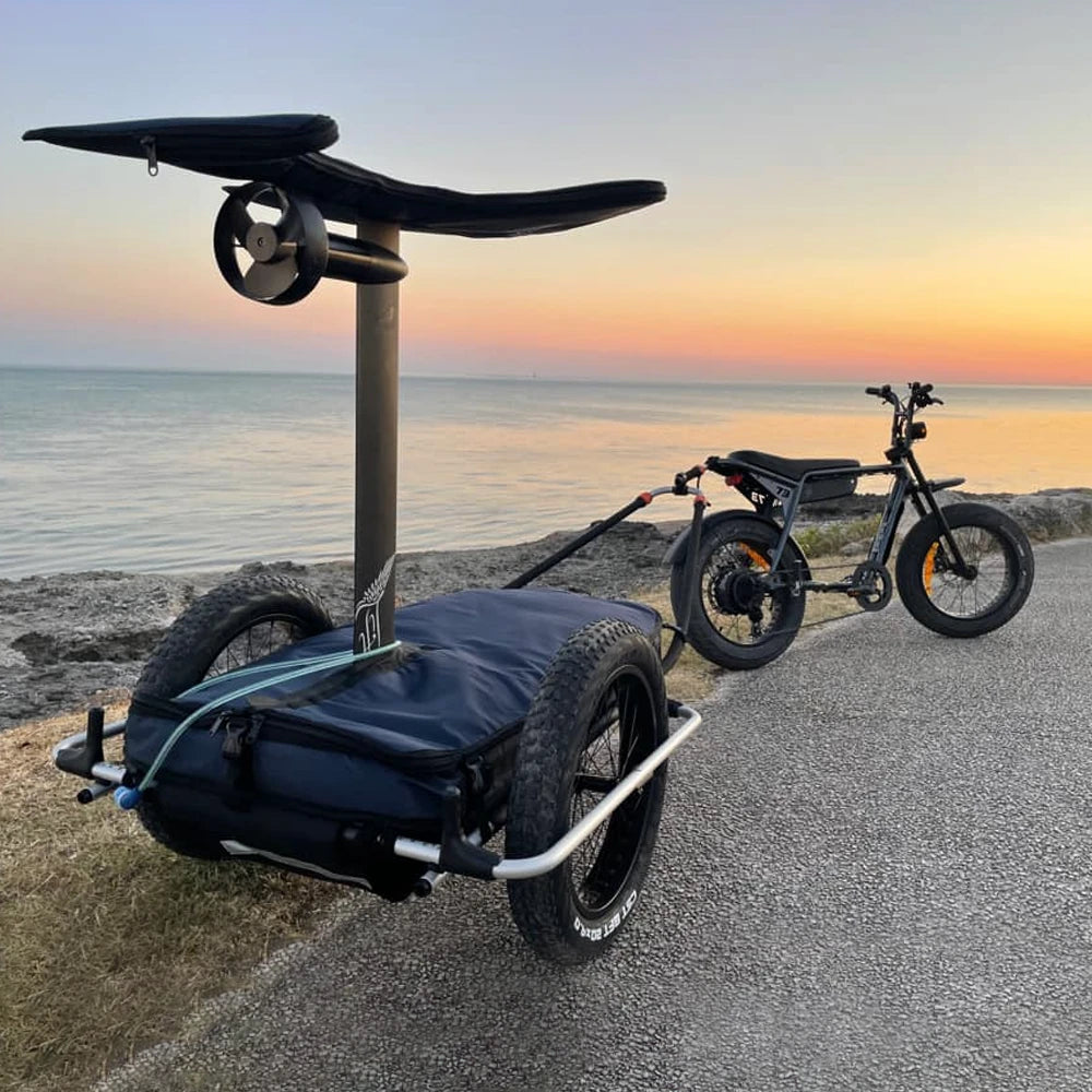 Bicycle trailer for e-foils