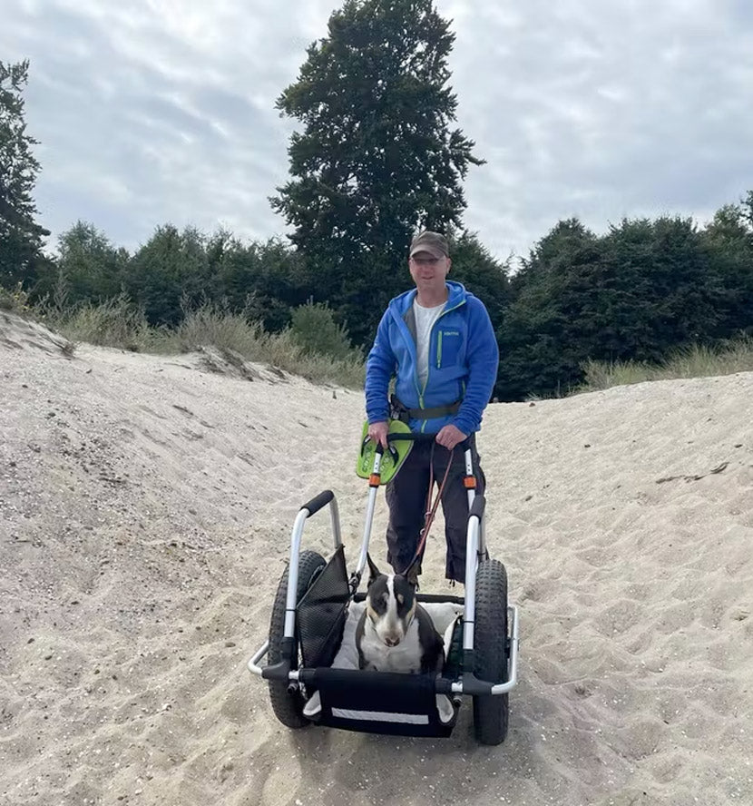 reacha dog bike trailer on vacation