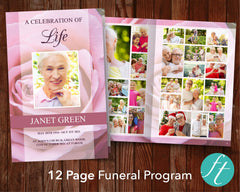 12 Page Pink Rose Funeral Program Template