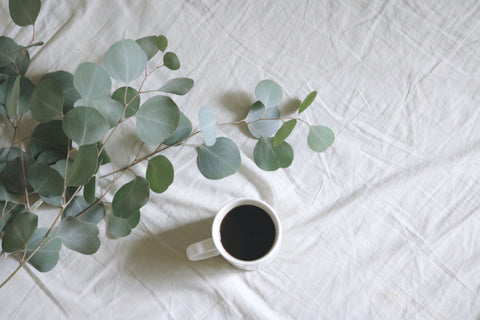 Eucalyptus essential oil may be able to boost energy and promote mental clarity.