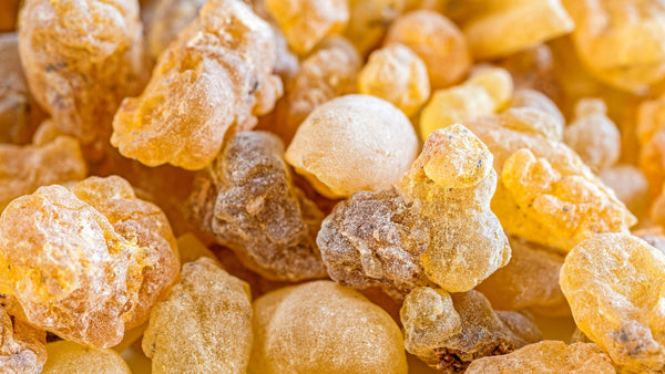 Zoomed close-up of frankincense 