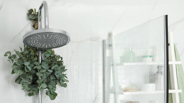 A bouquet of Eucalyptus hanging from a shower head